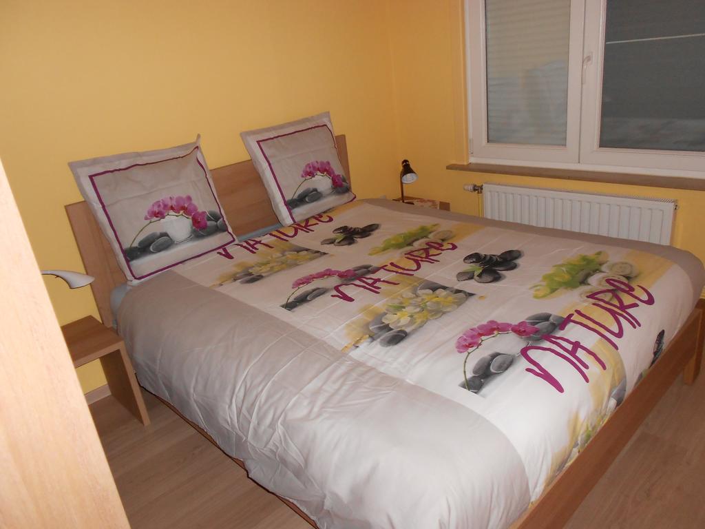 Gite De La Rhosnes Amougies Rom bilde